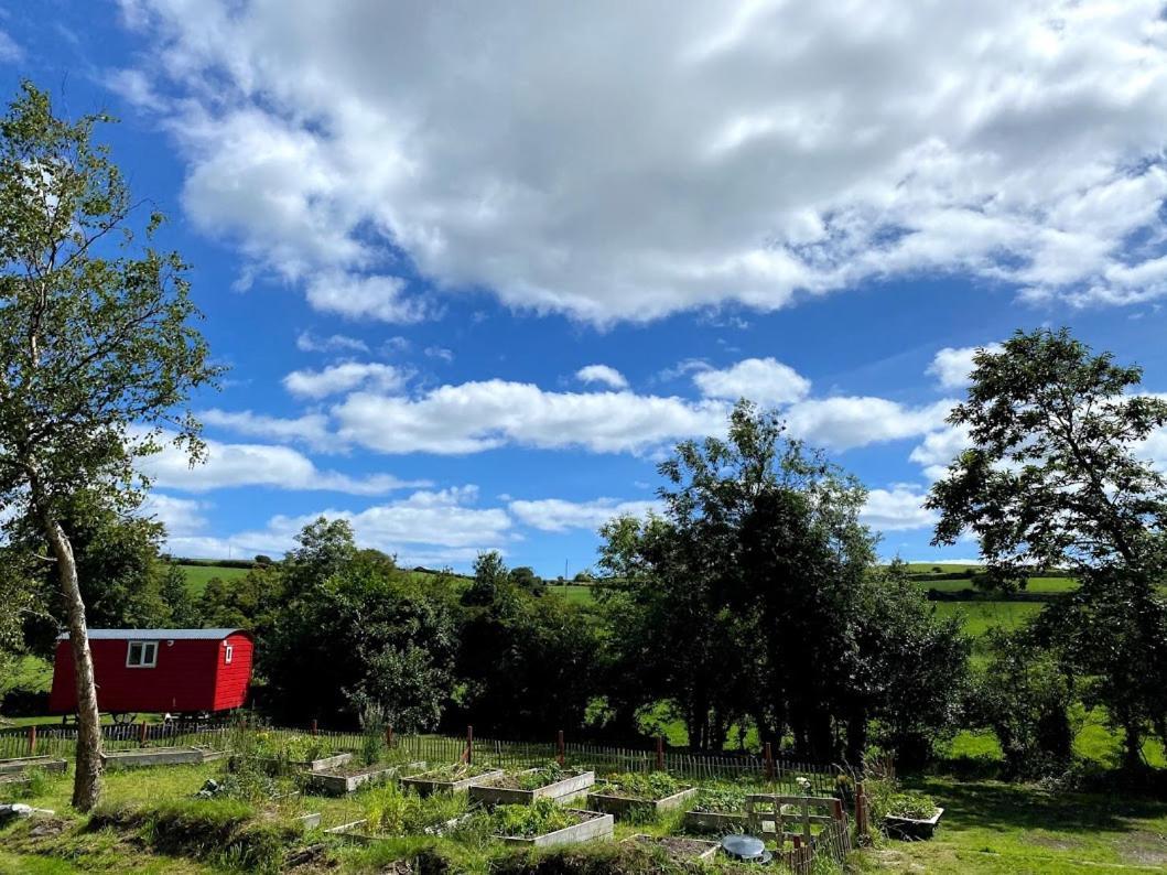 Ballyroe Accommodation Leap Exteriér fotografie